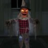36 Inch Twitching Light Up Animated Scarecrow Prop -Holiday Clothing Promotion Store 36 inch twitching animated scarecrow prop