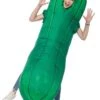 Inflatable Pickle Costume For Adults