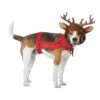 Reindeer Pet Dog Costume -Holiday Clothing Promotion Store dog reindeer costume
