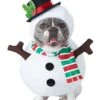 Snowman Dog Costume