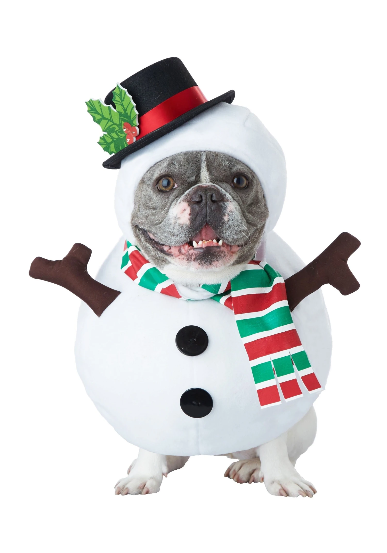 Snowman Dog Costume 3 Snowman Dog Costume