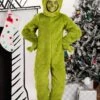 Dr. Seuss Grinch Kid's Open Face Costume