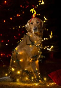 The Grinch Max Headband Costume -Holiday Clothing Promotion Store the grinch max headband alt 2