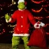 Adult The Grinch Plus Size Santa Deluxe Jumpsuit With Mask -Holiday Clothing Promotion Store the grinch santa adult plus size deluxe costume