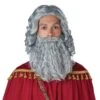 Wise Man Gray Wig And Beard For Men